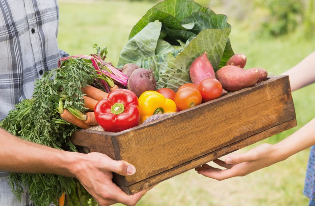 How To Reduce Vegetables From Toxic Herbicides.
