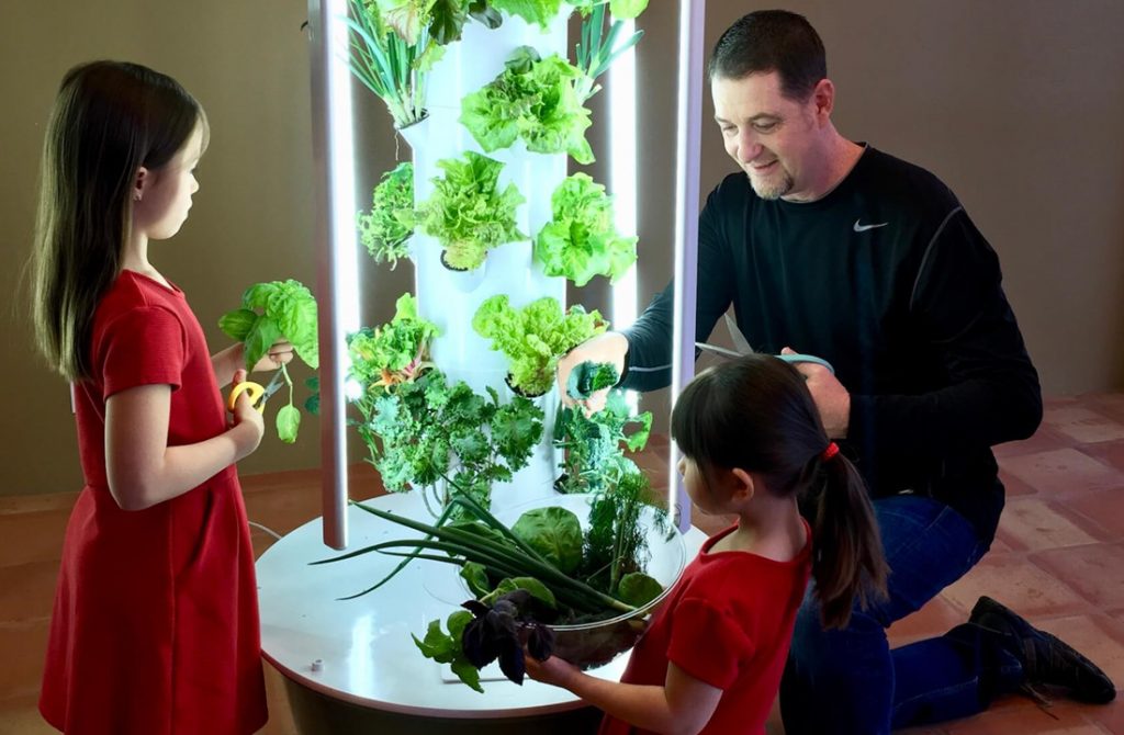 Tips To Keep Your Home Garden Pest Free.