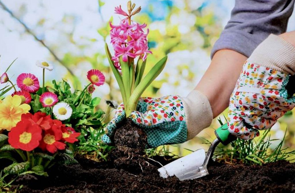 Weeding Skills You Need In Your Garden.